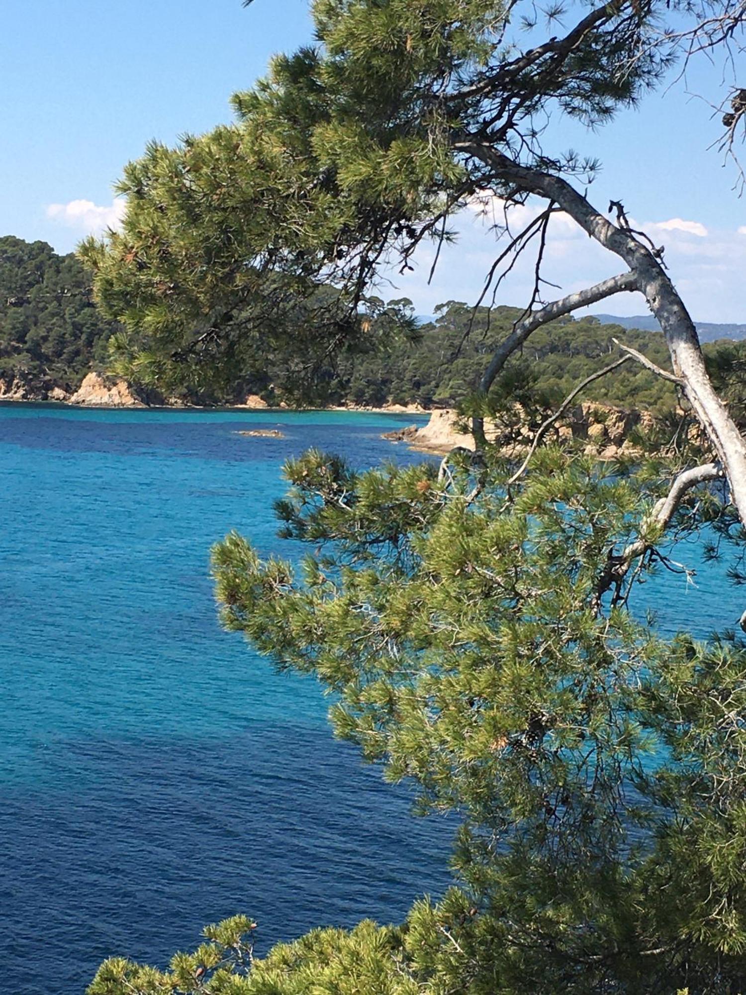 Appartement T3 Lumineux Traversant Totalement Neuf En Face De La Plage Front De Mer Vue Sur Les Iles Vue Mer Panoramique Assuree Residence De La Plage Centre Ville Du Lavandou 3Eme Etage Avec Ascenseur Appartement T3 Le Lavandou Exteriör bild